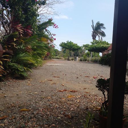 Cabanas Martina Surf Playa Guanico Pedregal Εξωτερικό φωτογραφία